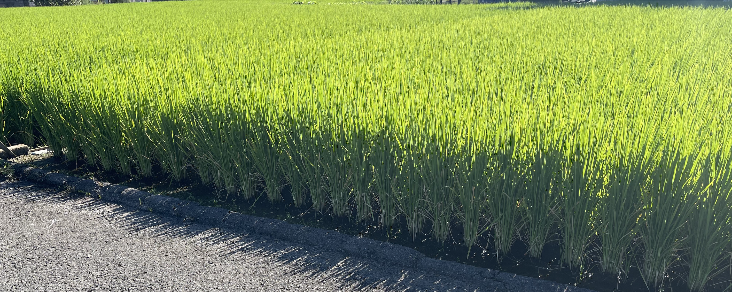 通勤