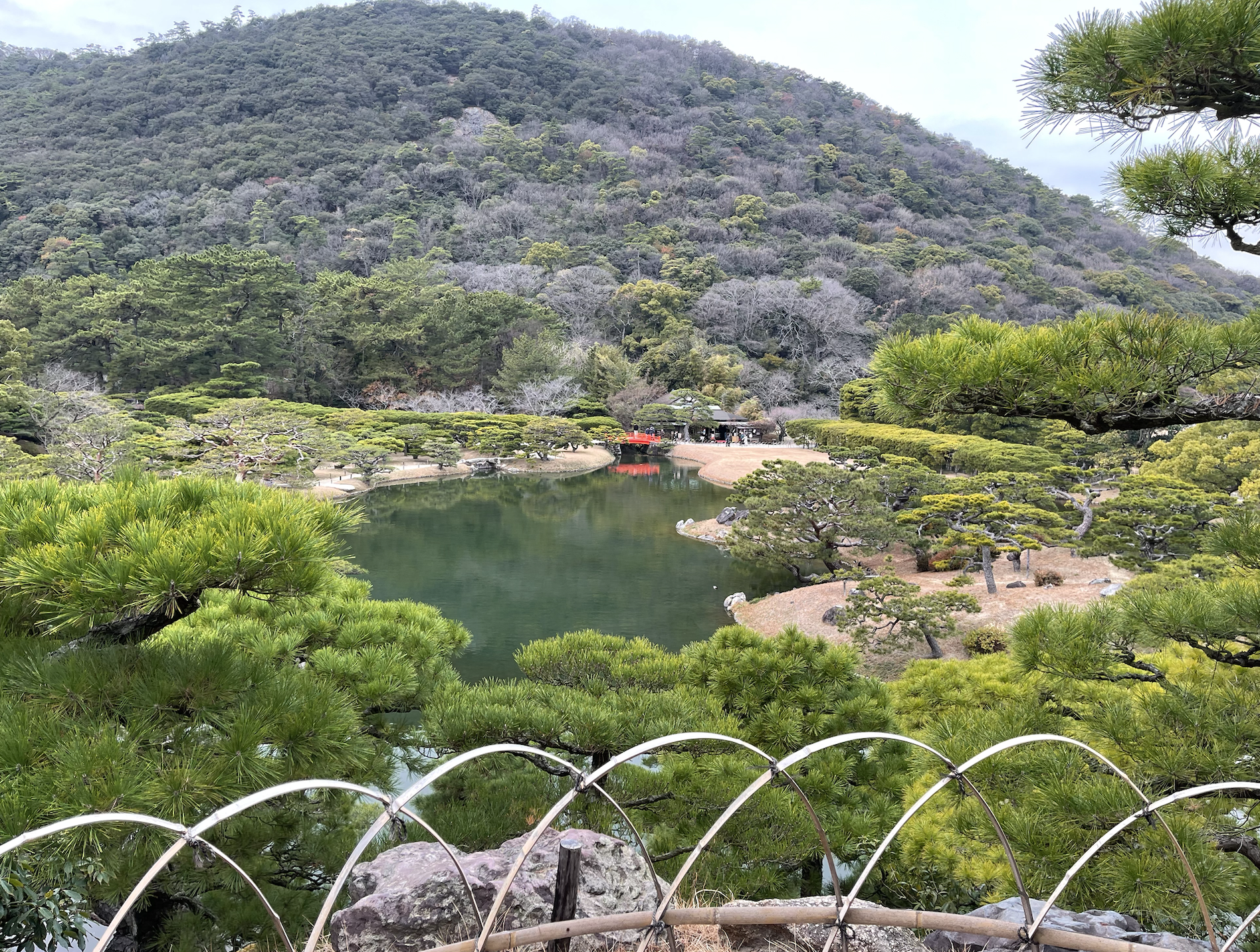 栗林